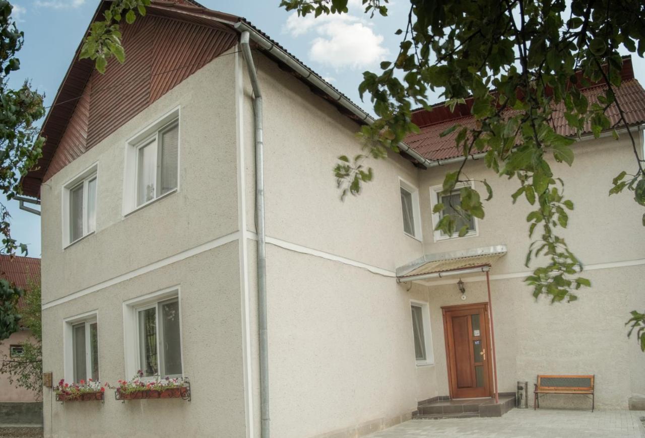Pensiunea Selena Vişeu de Sus Exteriér fotografie