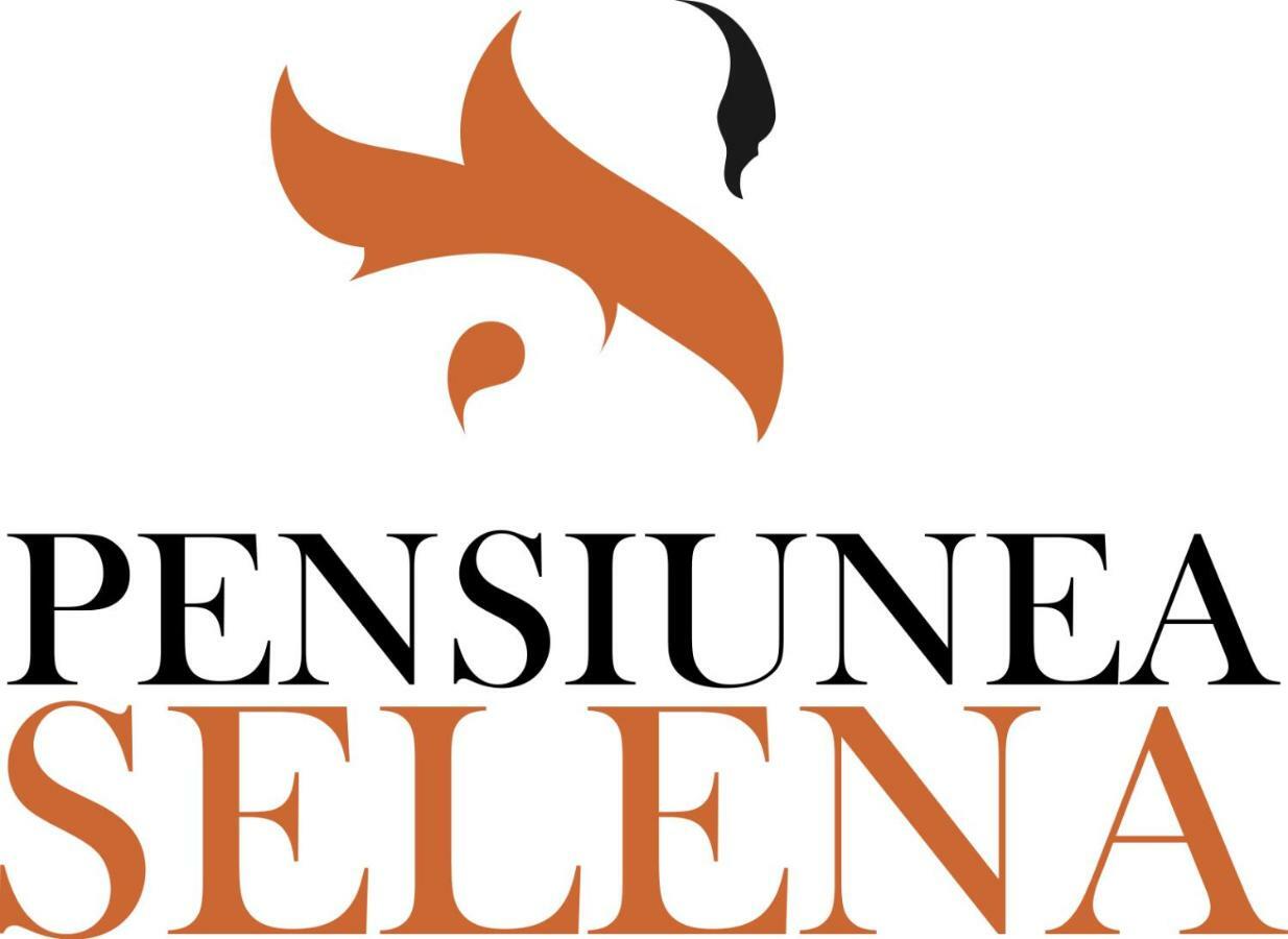 Pensiunea Selena Vişeu de Sus Exteriér fotografie
