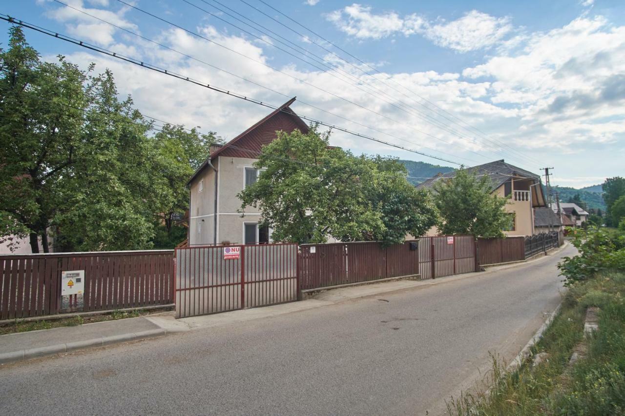 Pensiunea Selena Vişeu de Sus Exteriér fotografie